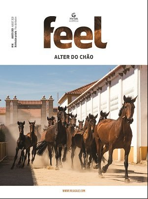 Alter do Chão